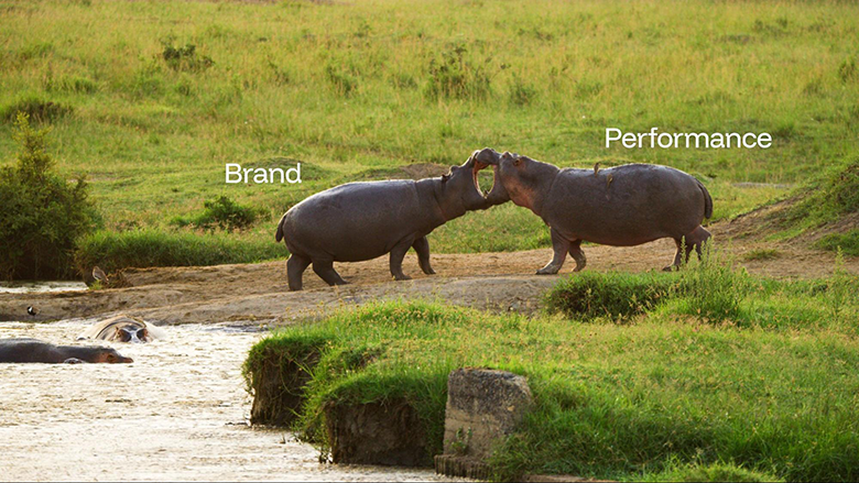  Brand and performance battling it out