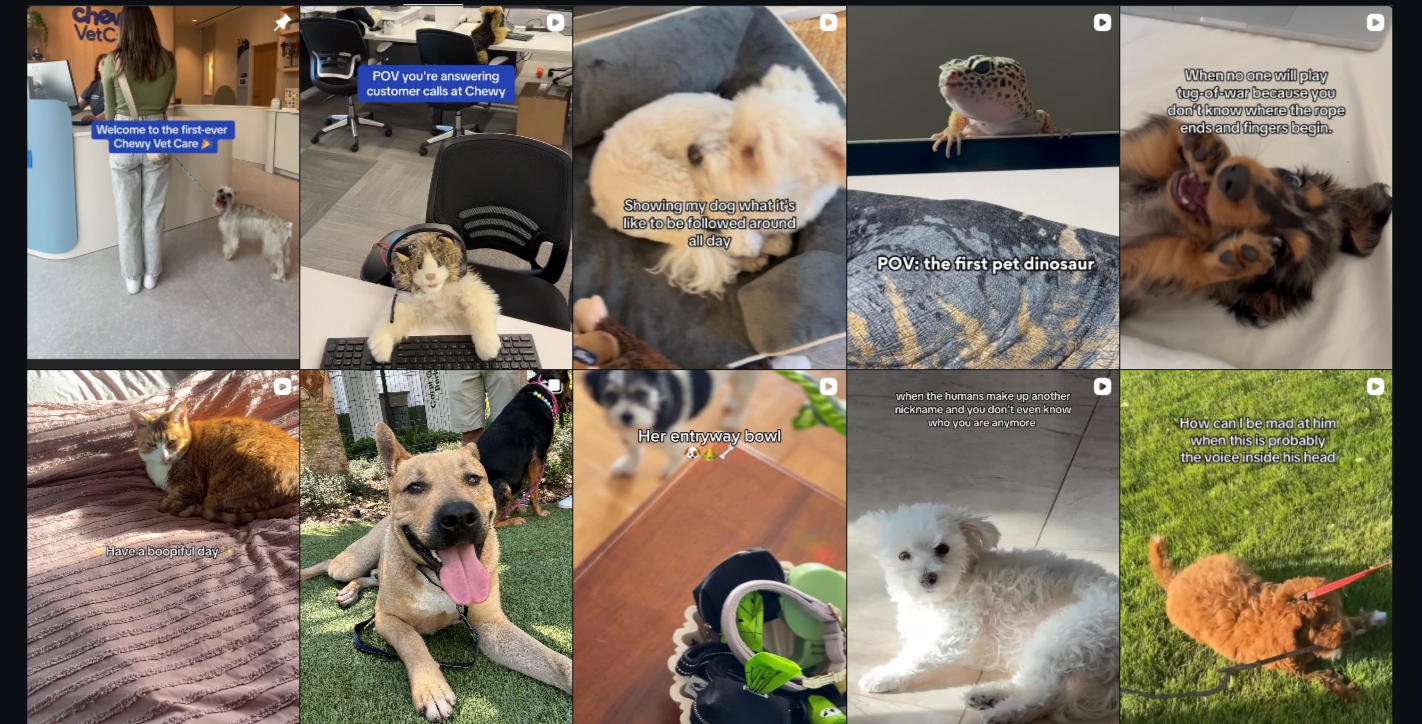 Chewy’s IG feed