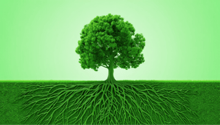 Customer retention provides a stable base for business growth 