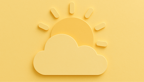 campaign forecasts and data dashboards