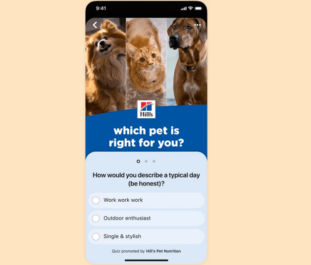 Pinterest quiz ad type
