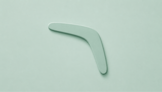 A boomerang, representing data leaving the warehouse and returning to where it's needed 