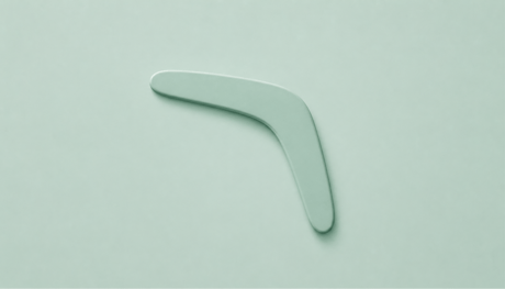 A boomerang, representing data leaving the warehouse and returning to where it's needed