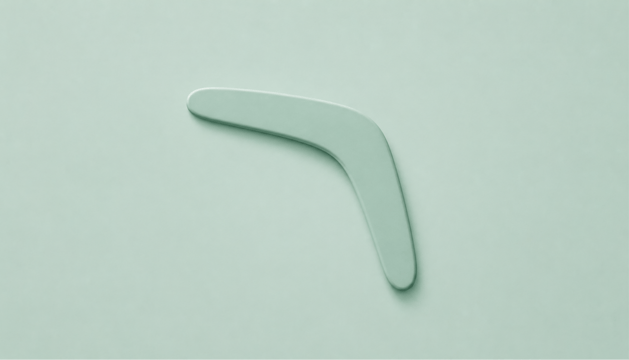 A boomerang, representing data leaving the warehouse and returning to where it's needed