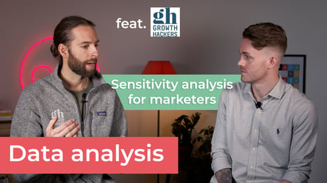 Sensitivity analysis definition