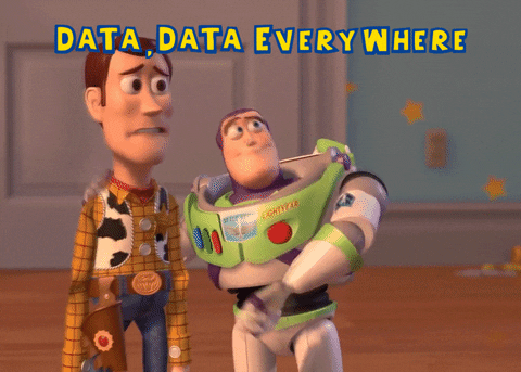 Toy-Story-Data-Every-Where