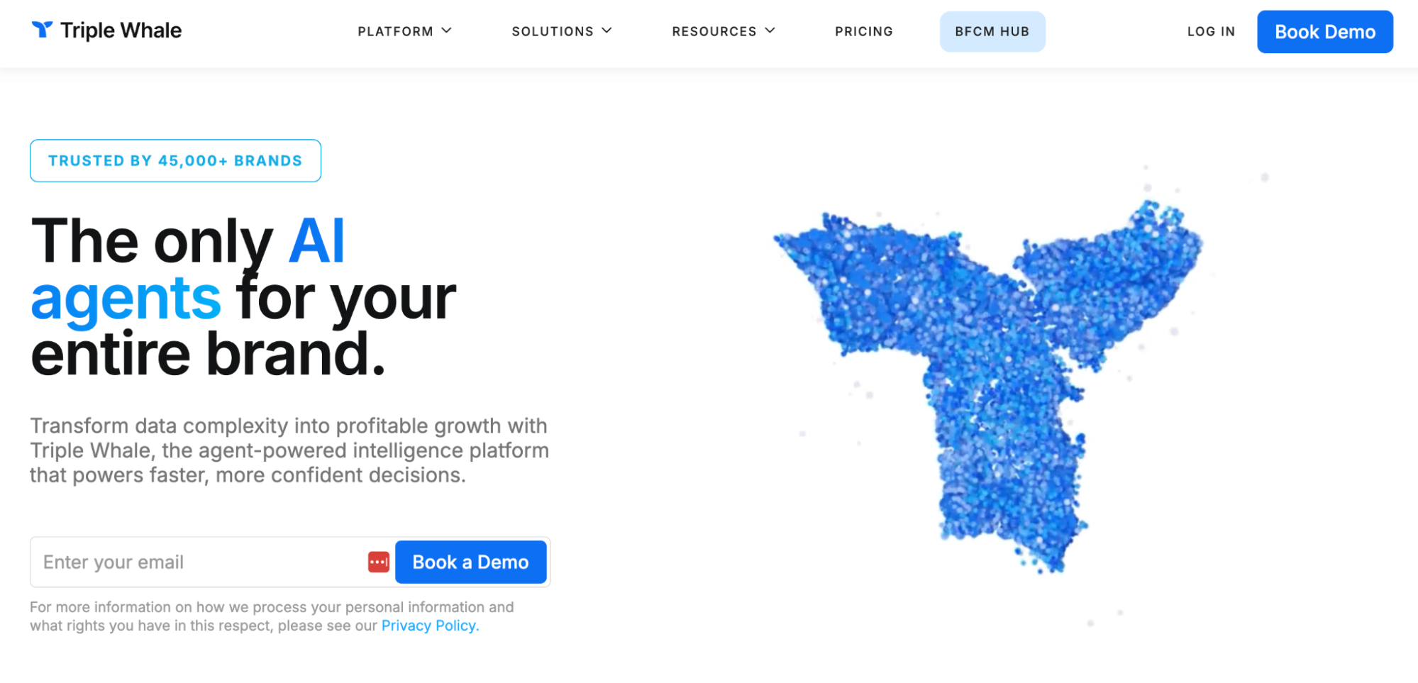 Screenshot of Triple Whale website