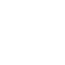 ic_data 1