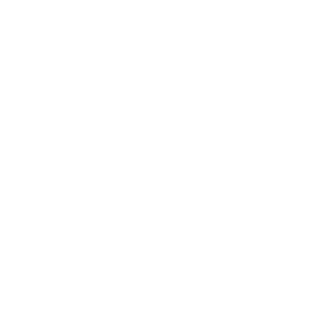 mis-2026-logo