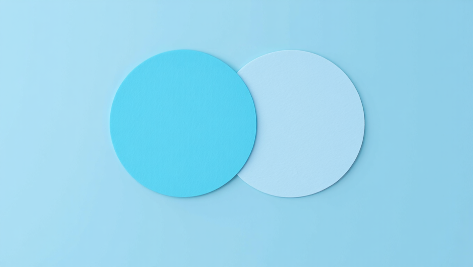 Overlapping circles labeled marketing and finance, showing shared alignment