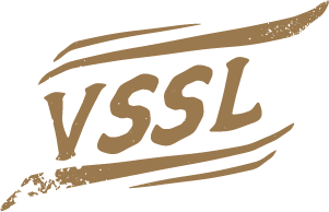 VSSL Agency is a full-service creative digital marketing agency located in San Diego. With our brand-backed full funnel strategy, VSSL helps growth-oriented B2B businesses dominate their market and generate customers for life. logo